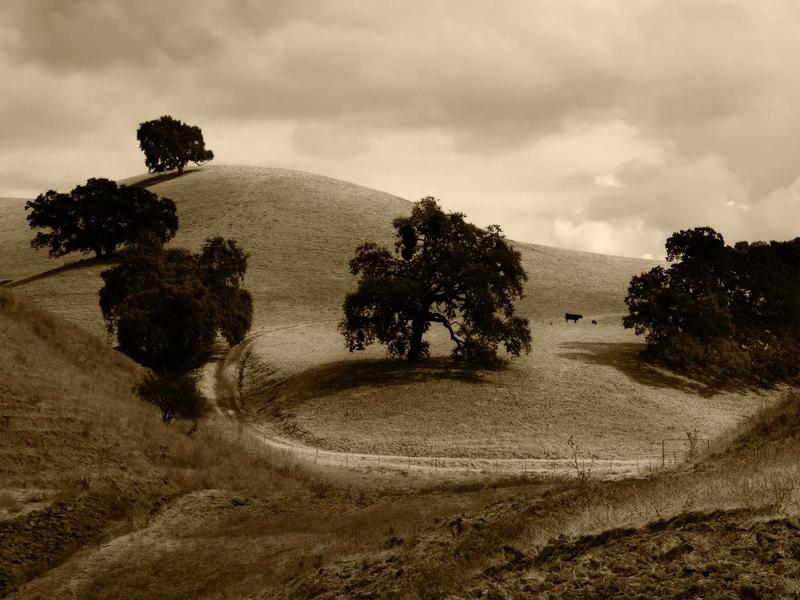 sudoku unique rectangle screenshot 2